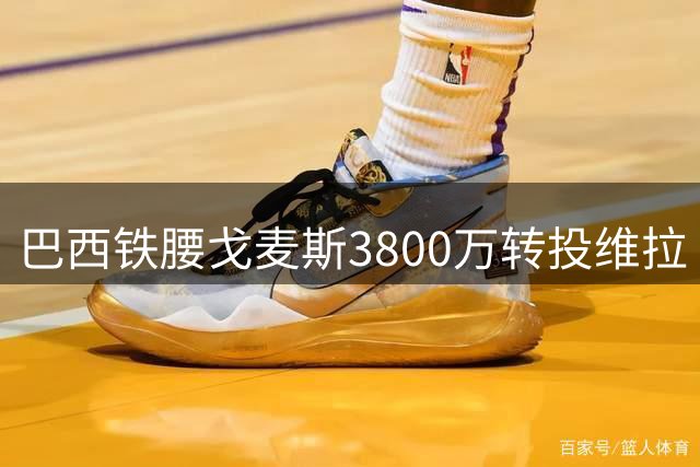 巴西铁腰戈麦斯3800万转投维拉 曼联锁定两将补强左闸